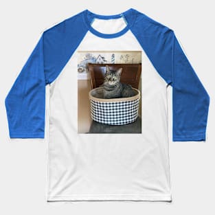 Kitty in a Basket Baseball T-Shirt